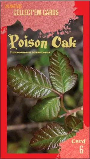 AWI nature trading card 6