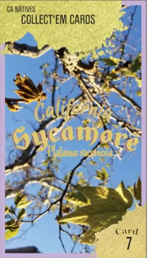 AWI nature trading card 7