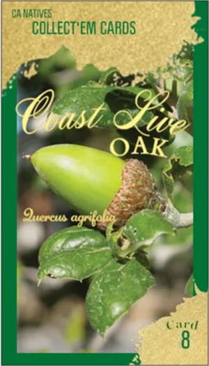 AWI nature trading card 8