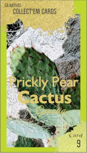 AWI nature trading card 9