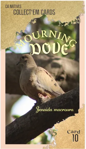 AWI nature trading card 10