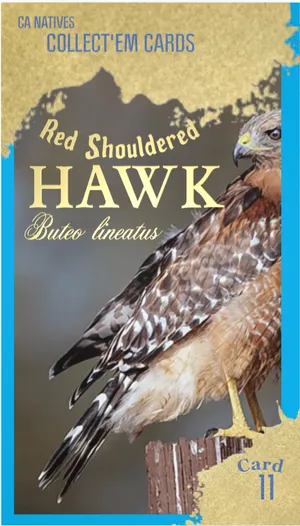 AWI nature trading card 11