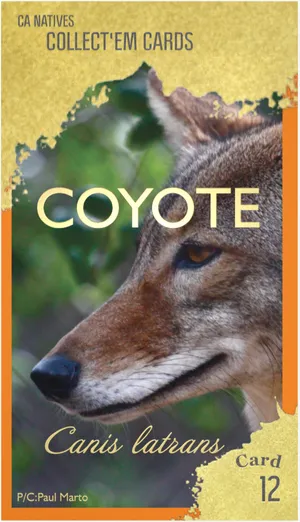 AWI nature trading card 12