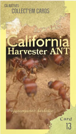 AWI nature trading card 13
