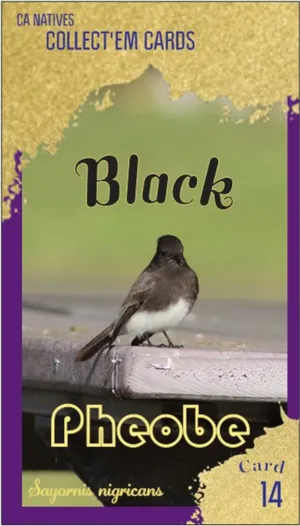 AWI nature trading card 14