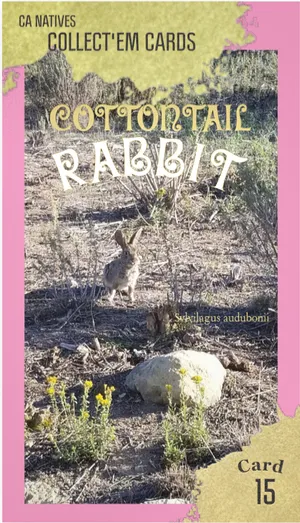 AWI nature trading card 15