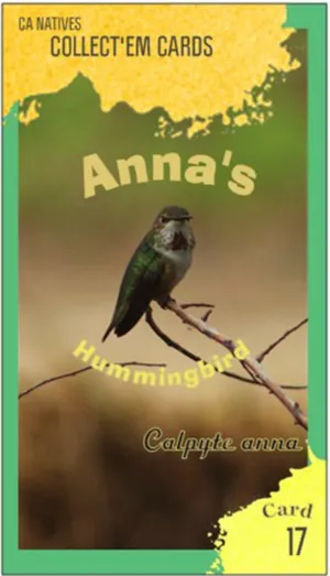 AWI nature trading card 17