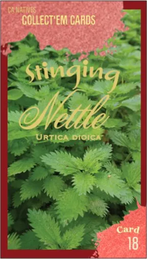 AWI nature trading card 18