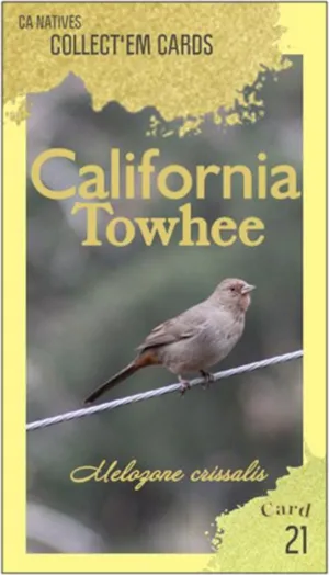 AWI nature trading card 21