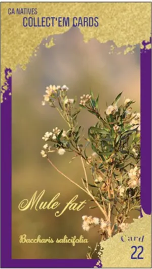 AWI nature trading card 22