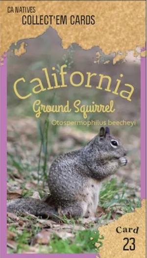 AWI nature trading card 23