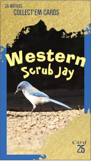 AWI nature trading card 25