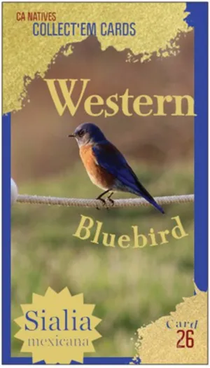 AWI nature trading card 26