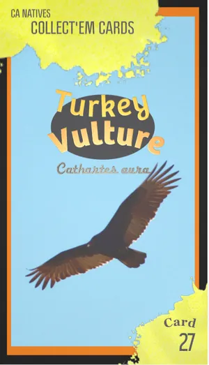 AWI nature trading card 27