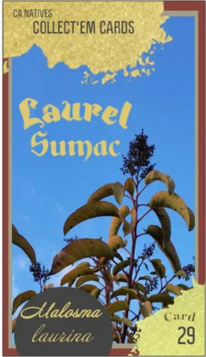 AWI nature trading card 29