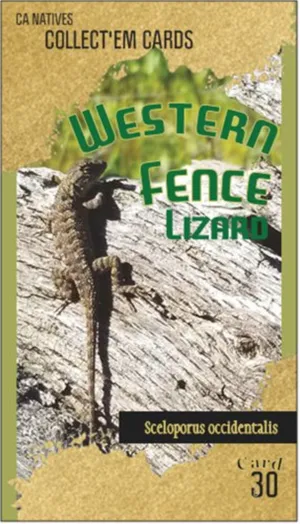 AWI nature trading card 30