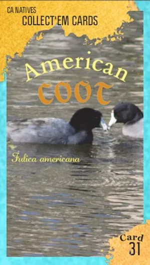 AWI nature trading card 31