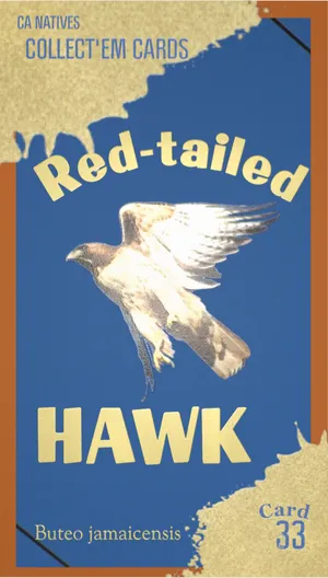 AWI nature trading card 33