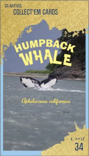 AWI nature trading card 34