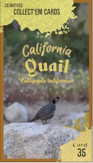AWI nature trading card 35
