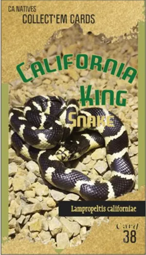 AWI nature trading card 38