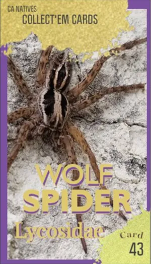 AWI nature trading card 43