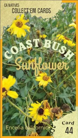AWI nature trading card 44