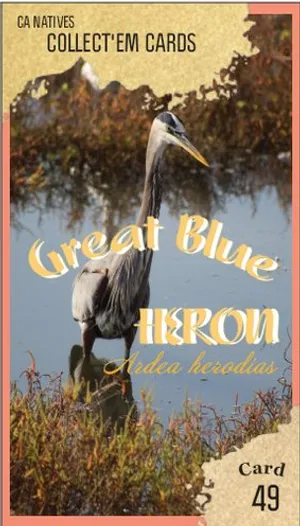AWI nature trading card 49
