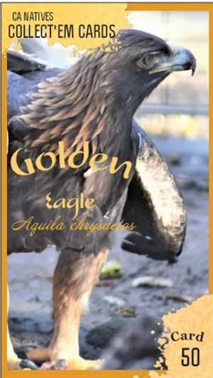 AWI nature trading card 50