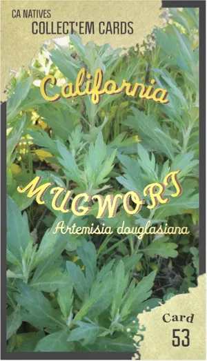 AWI nature trading card 53