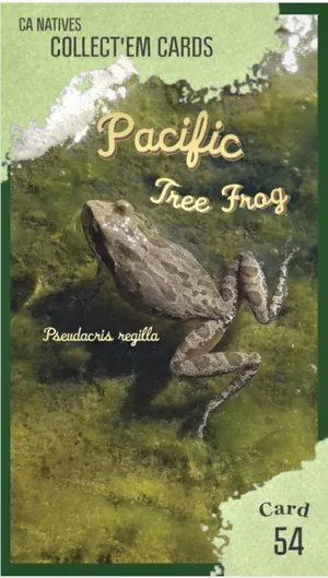 AWI nature trading card 54