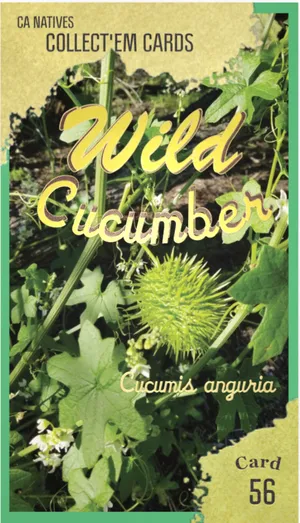 AWI nature trading card 56