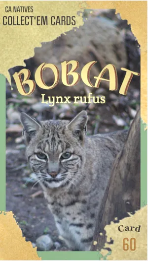 AWI nature trading card 60