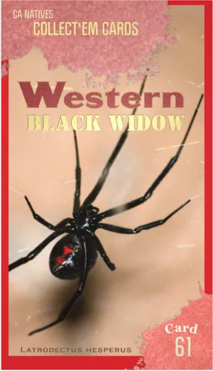AWI nature trading card 61