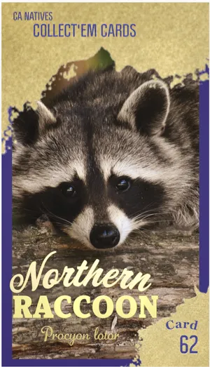 AWI nature trading card 62