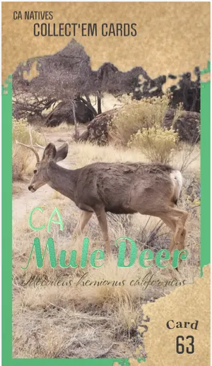 AWI nature trading card 63