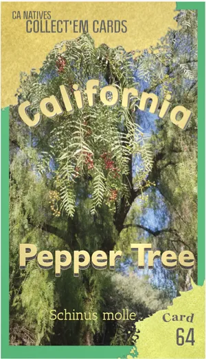 AWI nature trading card 64