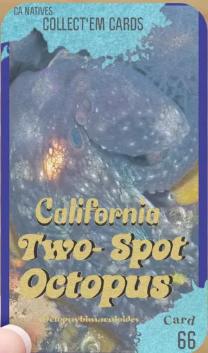 AWI nature trading card 66