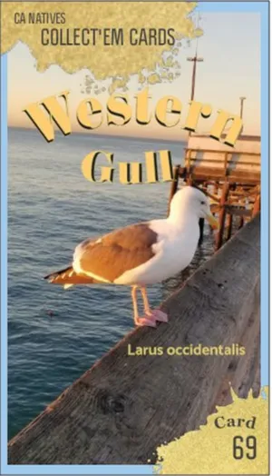AWI nature trading card 69