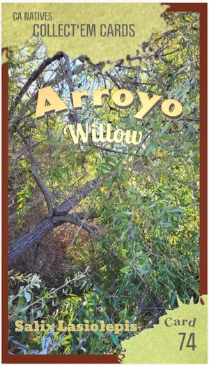 AWI nature trading card 74