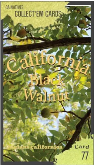AWI nature trading card 77