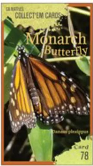 AWI nature trading card 78