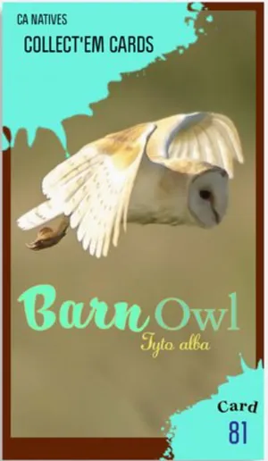 AWI nature trading card 81