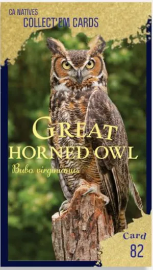 AWI nature trading card 82