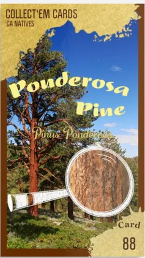 AWI nature trading card 88