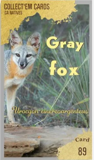 AWI nature trading card 89