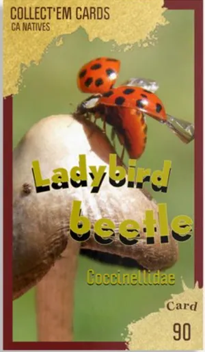 AWI nature trading card 90