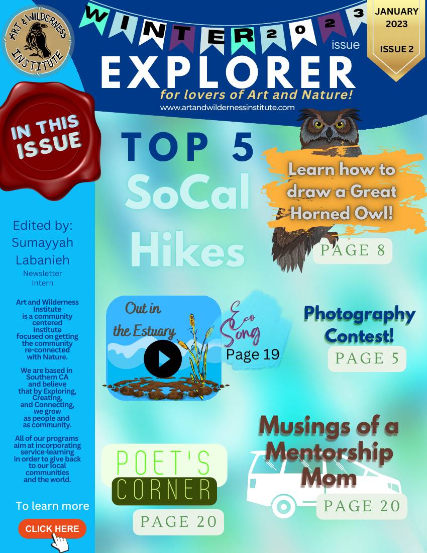 The Wild Explorer, Issue 2