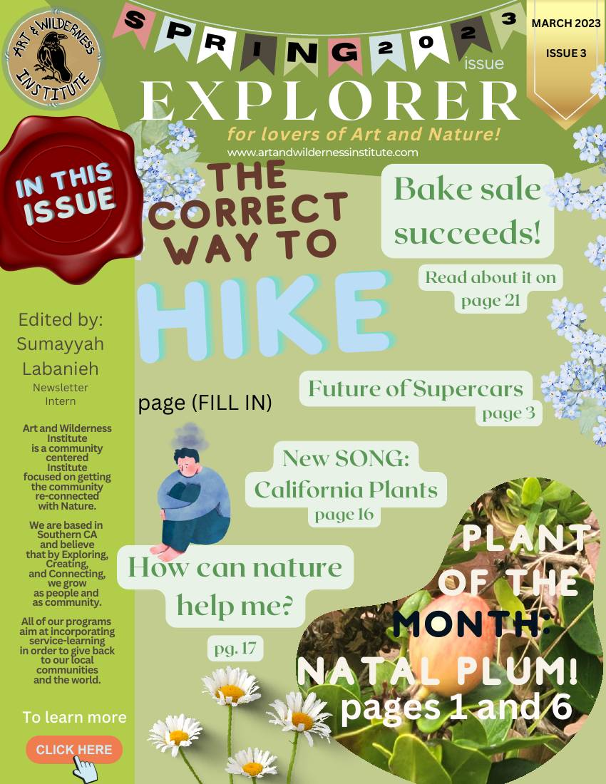 The Wild Explorer, Issue 3