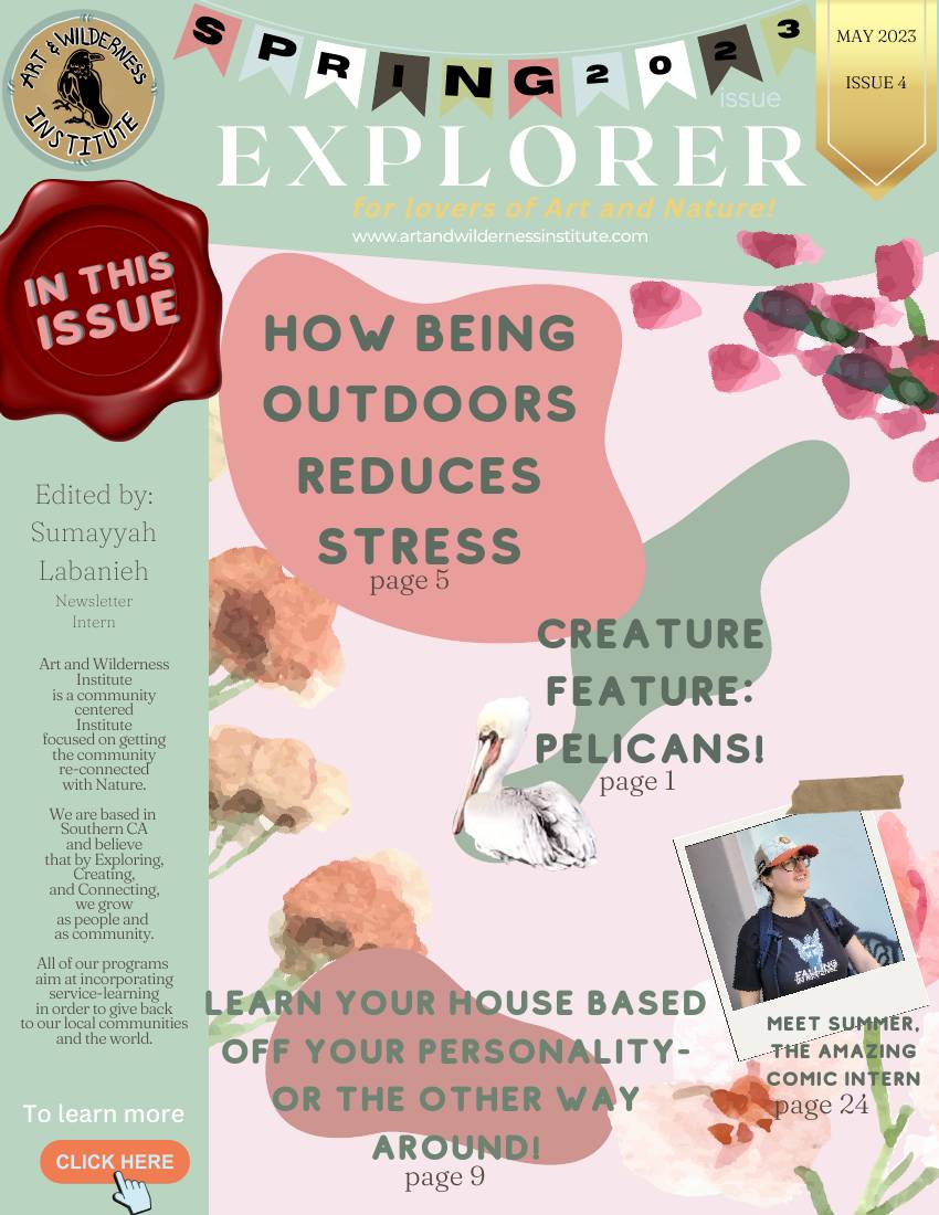 The Wild Explorer, Issue 4